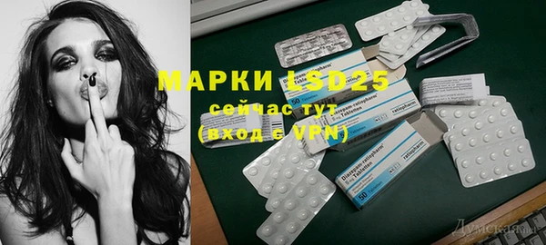 мяу мяу мука Аркадак
